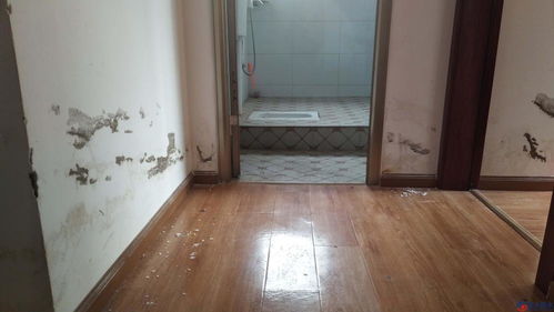 衛(wèi)生間門材質(zhì)與設(shè)計(jì)選擇指南